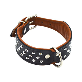 Comme Un Roi - Collier Cuir Clouté So Chic Noir pour Chien