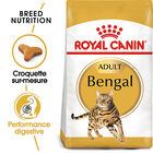 Royal Canin - Croquettes Bengal pour Chat Adulte - 2Kg image number null