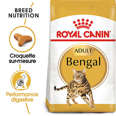 Royal Canin - Croquettes Bengal pour Chat Adulte - 2Kg