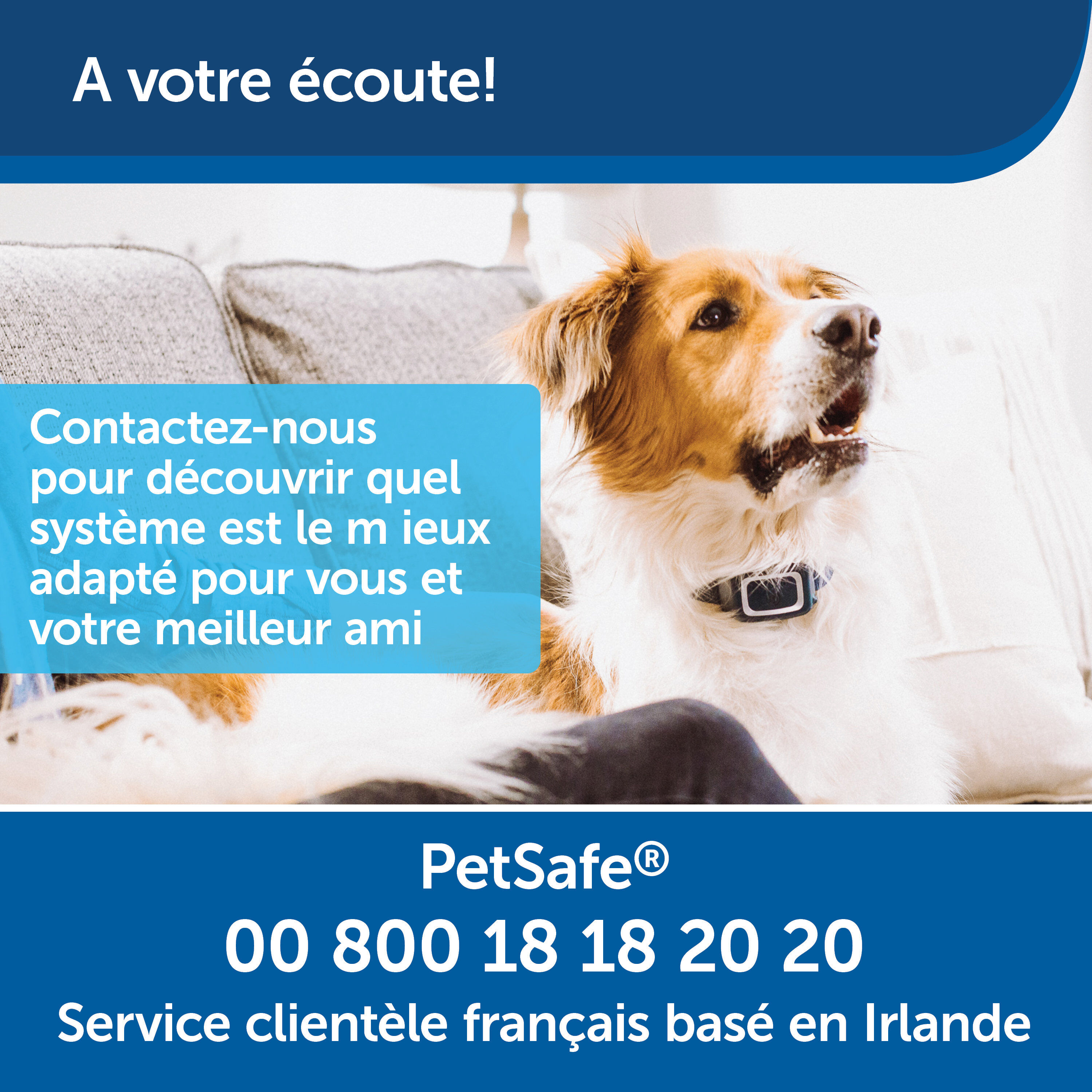 PetSafe - Syst&egrave;me d'Aide &agrave; l'Education pour Chiens - 300m Image num&eacute;ro 10