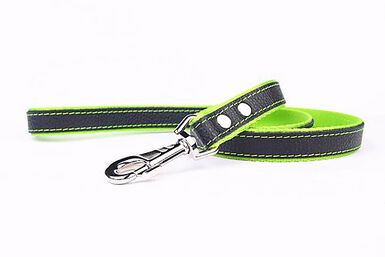 Yogipet - Laisse en Cuir avec Nylon 120cm pour Chien - Vert