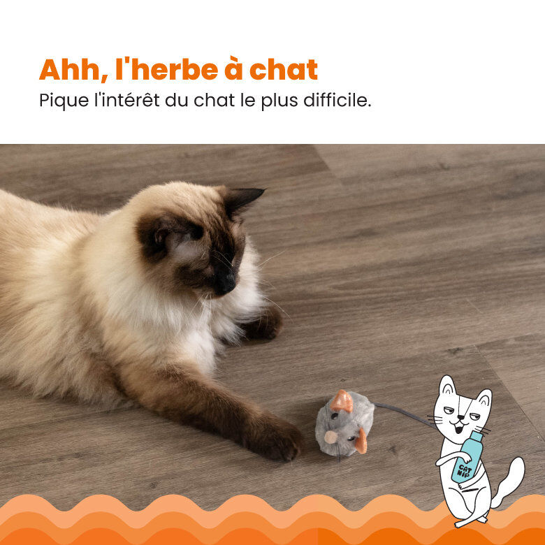 Outward Hound - Jouet Souris Squeak Mouse pour Chats - Gris Image num&eacute;ro 5