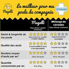 Magalli - Aliment Complet Poule Santé pour Basse-cour - 4Kg image number null