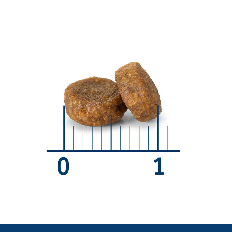 Nath - Croquettes Kitten au Poulet et Riz pour Chatons - 400g Image num&eacute;ro 3
