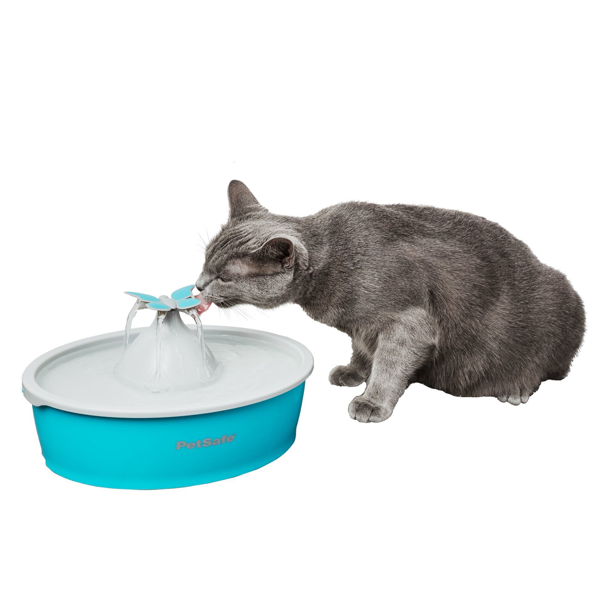 PetSafe - Fontaine Butterfly  sans Bpa pour Chien et Chat - 1,5L Image num&eacute;ro 1