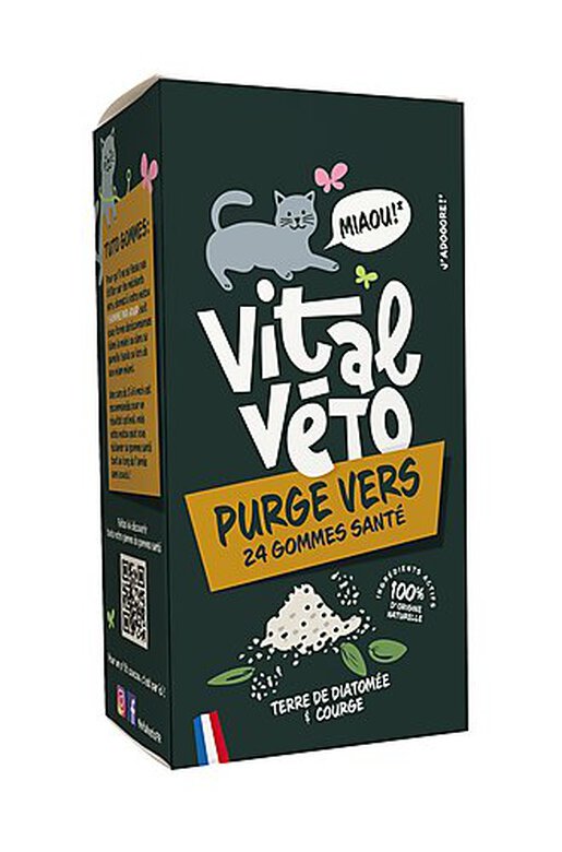 Vitalvéto - Gommes Santé Purge Vers pour Chat - 24g image number null