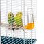 Ferplast - Cage Rekord 3 pour Oiseaux Exotiques Indicateur image numéro 6