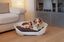 Ferplast - Corbeille Siesta Deluxe 8 Bordeaux pour Chiens Indicateur image numéro 6