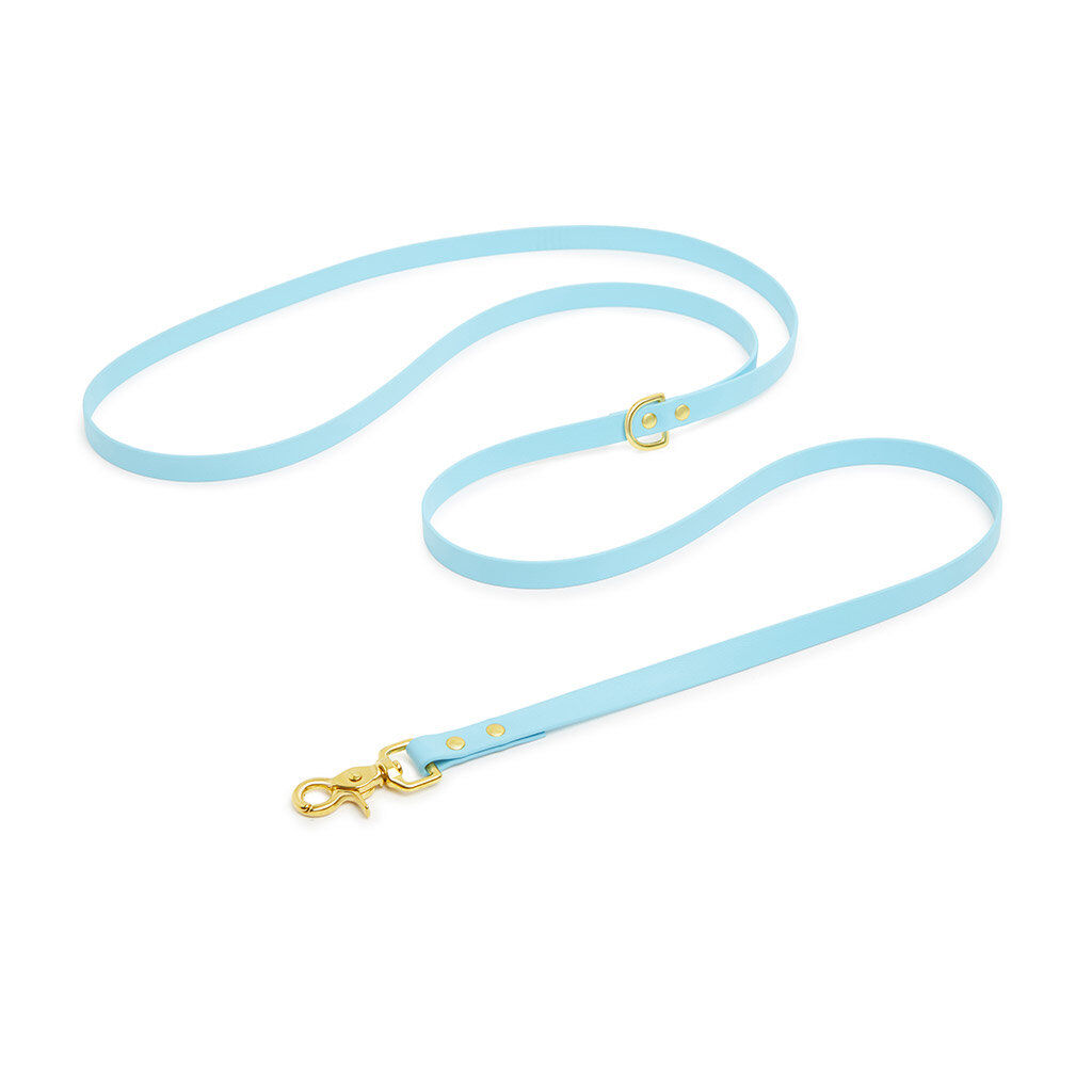 Pop Dog - Laisse Bandouli&egrave;re Dragueur Bleu pour Chien - XS/S Image num&eacute;ro 1