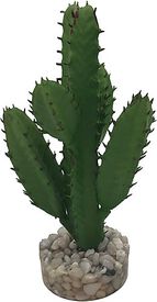 Labeo - Succulente moyen modèle Plante Artificielle Aquarium et Terrarium