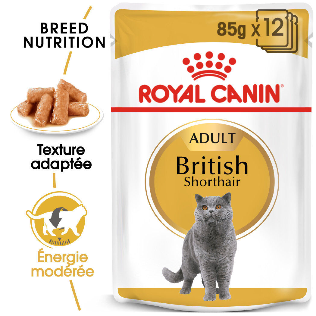 Royal Canin -  P&acirc;t&eacute;e en Mousse BRITISH SHORTHAIR ADULT pour Chats - 12x85g Image num&eacute;ro 1