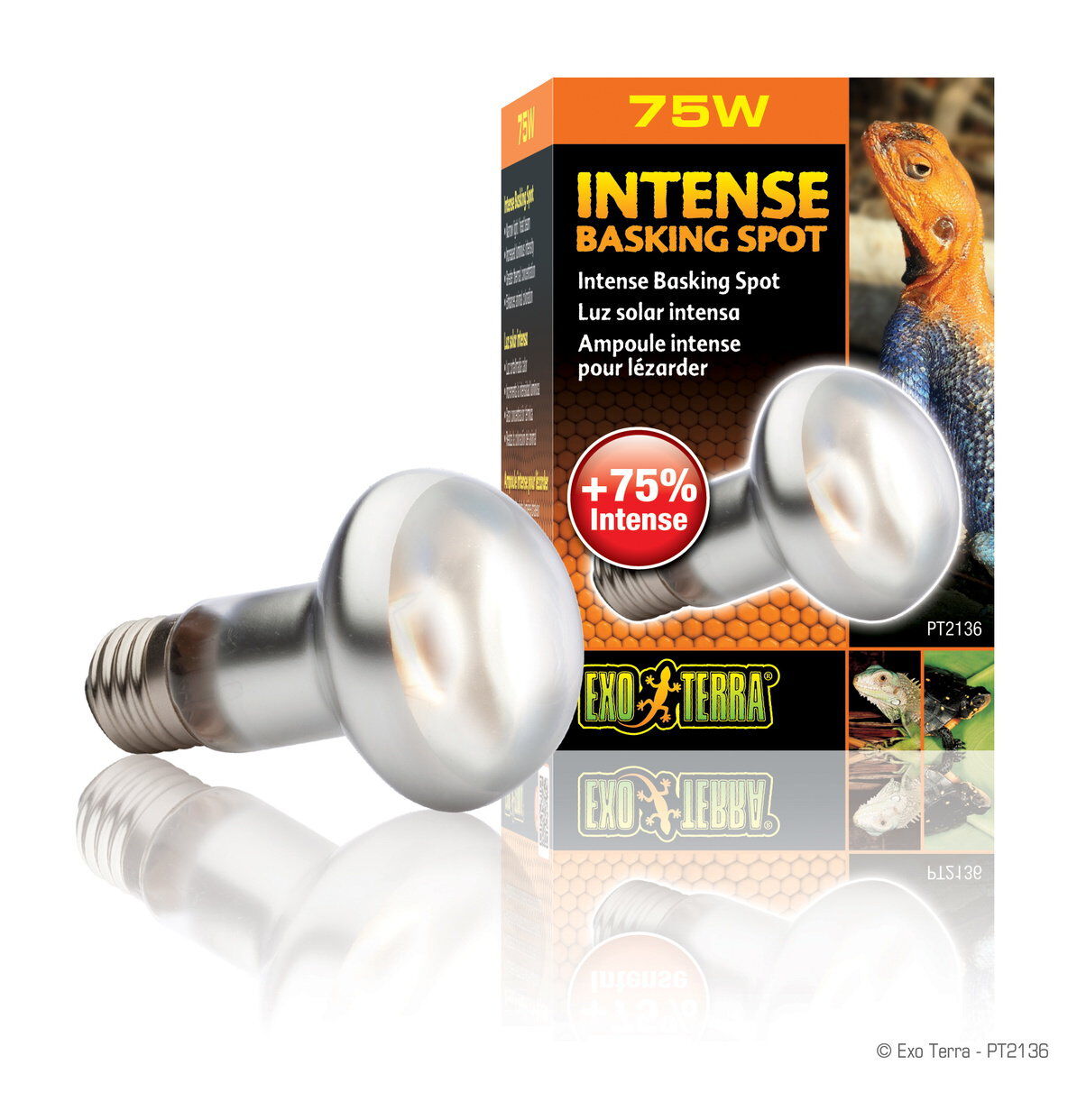 Exo Terra - Ampoule Intense Basking Spot - 75W Image num&eacute;ro 1