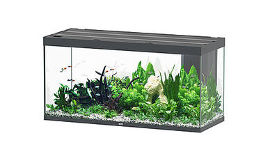 Aquatlantis - Aquarium SUBLIME 150 Led Anthracite - 545L