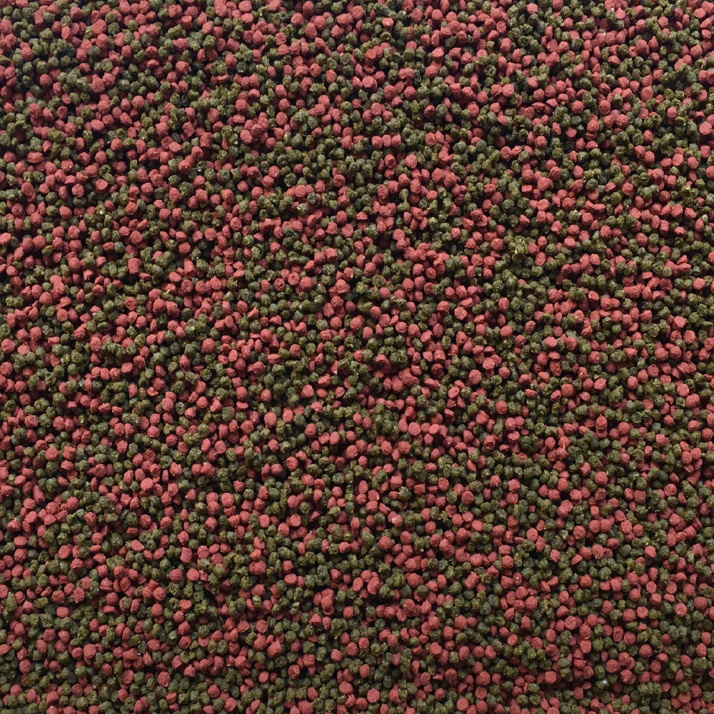 Amtra - Aliment Pro Gran 1.5 - 100ml Image num&eacute;ro 2