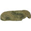 Animalis - Kit Gecko - 50cm Indicateur image numéro 6
