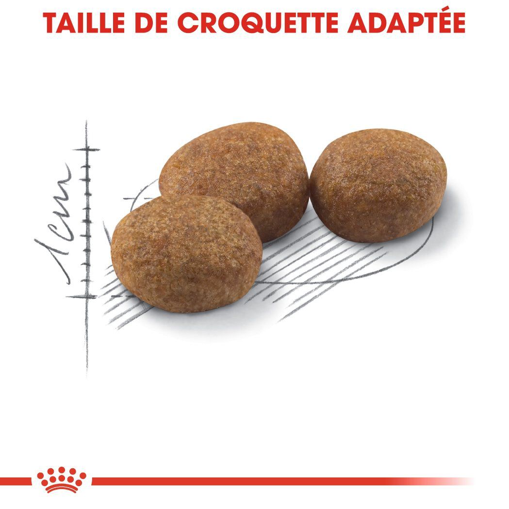 Royal Canin - Croquettes Sterilised 37 pour Chat - 10Kg Image num&eacute;ro 5