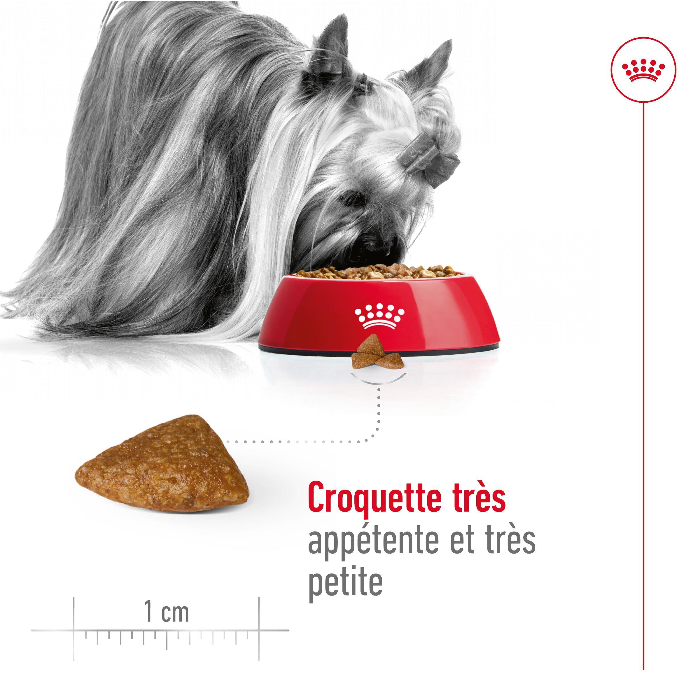 Royal Canin - Croquettes Senior - 1,5KG Image num&eacute;ro 7