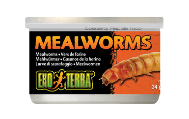 Exo Terra - Vers de Farine pour Reptiles - 34g