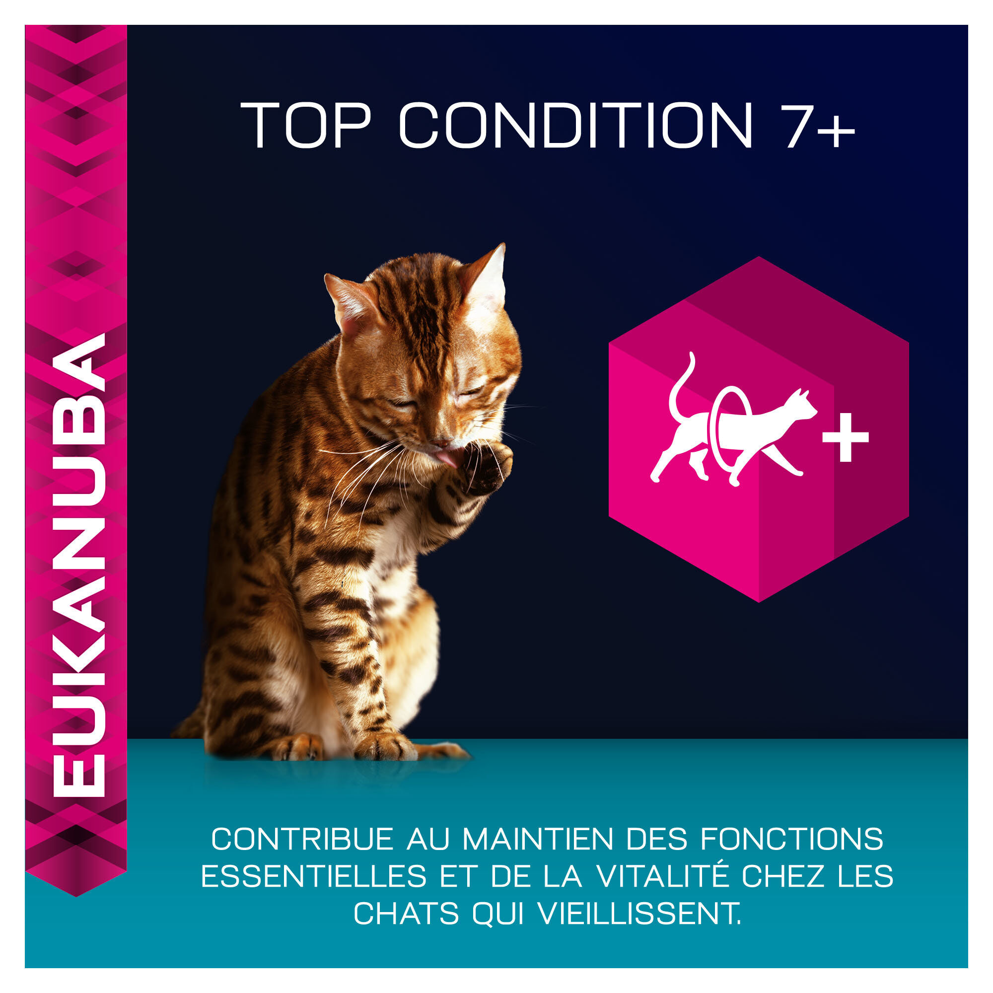 Eukanuba - Croquettes Top Condition 7+ pour Chat S&eacute;nior Image num&eacute;ro 20