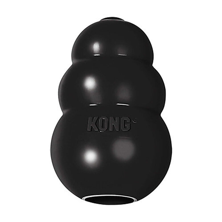 KONG - Jouet Extreme pour Chien - S image number null
