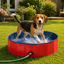 Summer Vibes - Piscine Rouge pour Chiens - M Indicateur image num&eacute;ro 5