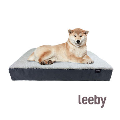 Leeby - Matelas Orthopédique Gris pour Chiens