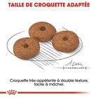Royal Canin - Croquettes Mini Ageing 12+ pour Chien Senior - 3,5Kg image number null