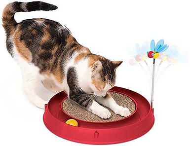 Catit - Jouet Play Circuit 3 en 1 pour Chats - Orange