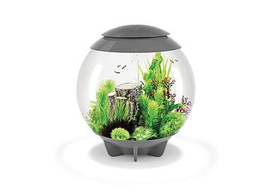 biOrb - Aquarium Halo 60 mcr gris
