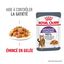 Royal Canin - Sachets Appetite Control Care en Gelée pour Chat - 12x85g Indicateur image numéro 2
