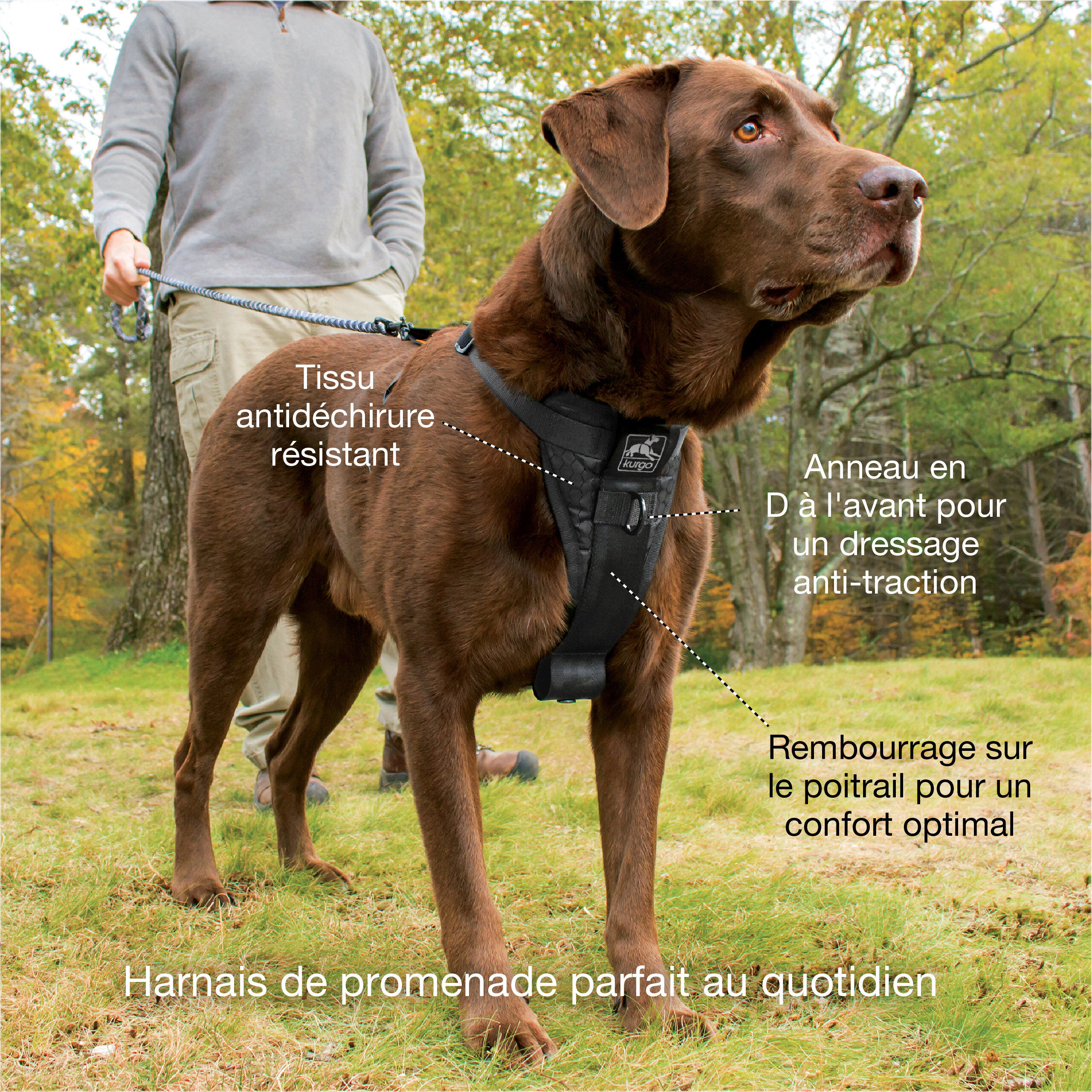 Kurgo - Harnais de S&eacute;curit&eacute; "Smart" Noir pour Chiens - XL Image num&eacute;ro 3