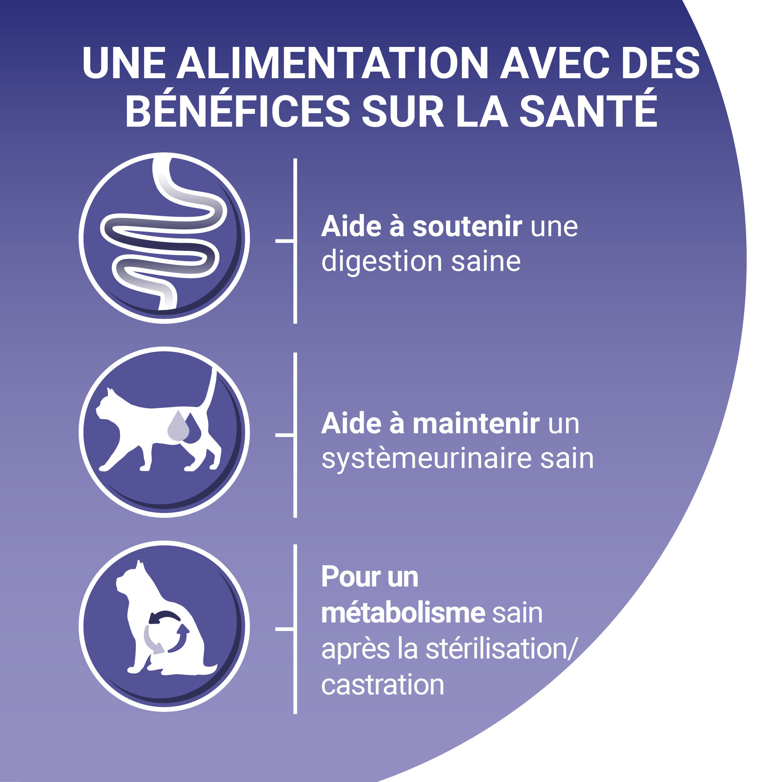 Purina One -  Croquettes Chat St&eacute;rilis&eacute; Sensible Poisson de mer - 1,5kg Image num&eacute;ro 7