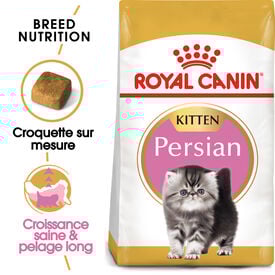 Royal Canin - Croquettes Persian Kitten pour Chaton