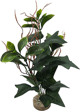 Labeo - Plante Verte Assortie Décorative pour Terrarium