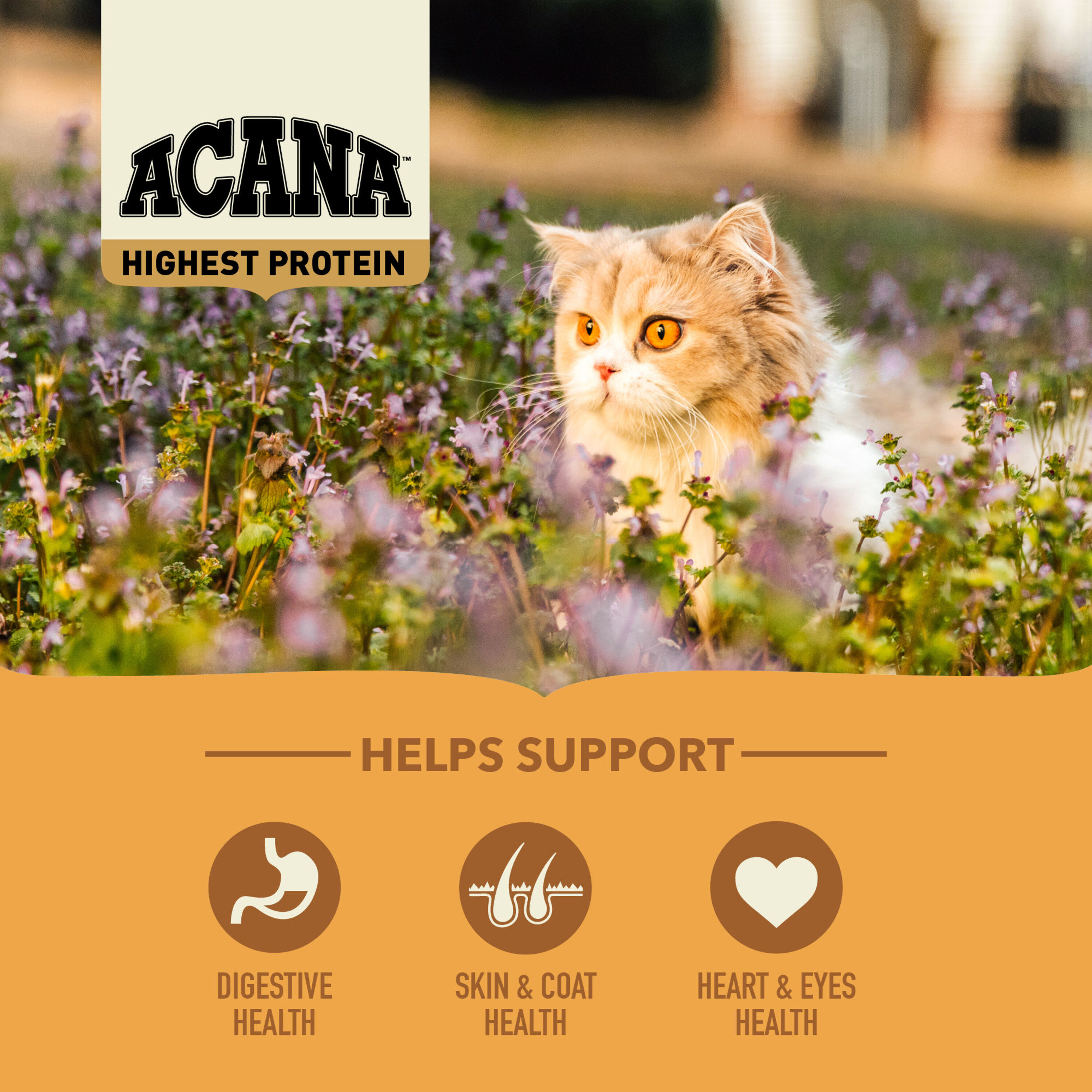 Acana - Croquettes Wild Prairie pour Chat - 4,5Kg Image num&eacute;ro 3
