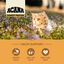 Acana - Croquettes Wild Prairie pour Chat - 4,5Kg Indicateur image num&eacute;ro 3