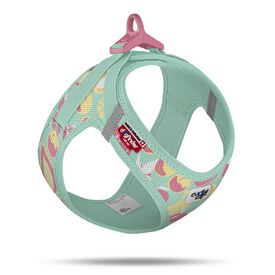 Curli - Harnais Air -Mesh Fruits Turquoise Edition Limit&eacute;e