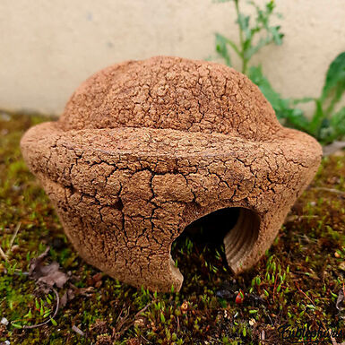 Eublepharis - Cachette Bilbo pour Reptiles - 20cm