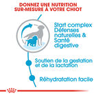 Royal Canin - Croquettes Starter Mother & Babydog Medium pour Chiennes et Chiots - 4KG image number null