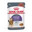 Royal Canin - Sachets Appetite Control Care en Sauce pour Chat - 12x85g Indicateur image numéro 1