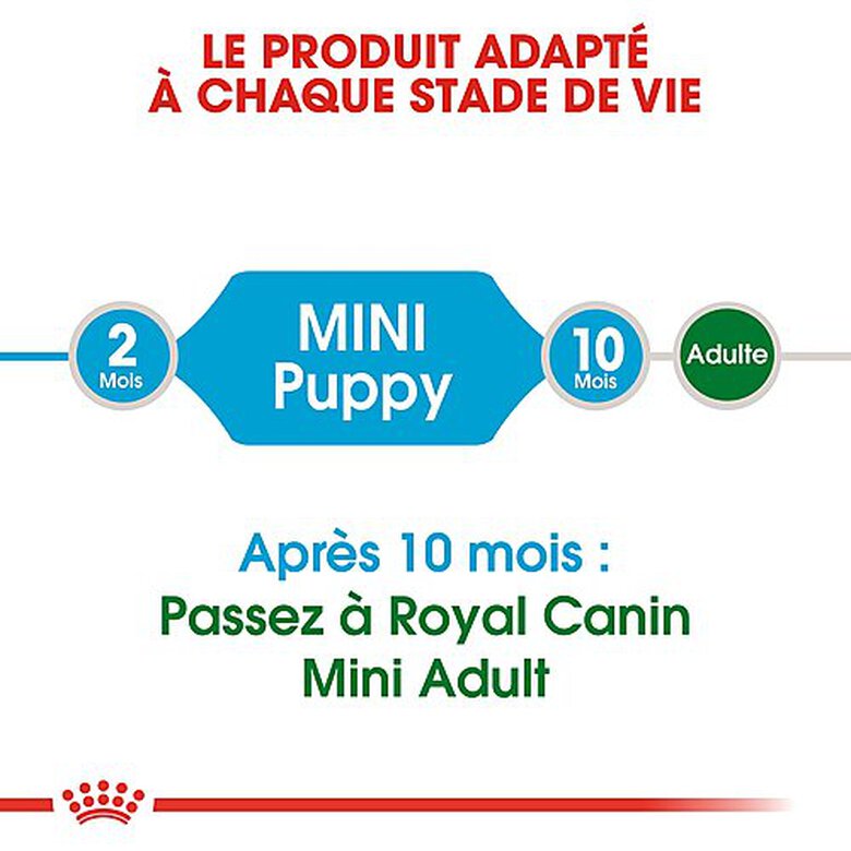 Royal Canin - Croquettes Mini Puppy pour Chiot image number null