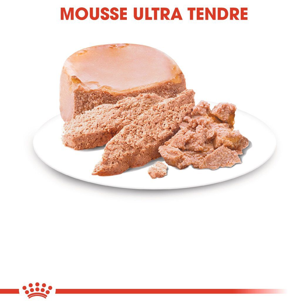 Royal Canin - Bo&icirc;te Starter Mousse Mother & Babydog en Pat&eacute;e pour Chien - 195g Image num&eacute;ro 5
