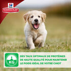 Hill's Science Plan - Croquettes Healthy Development Medium Puppy Poulet pour Chiot - 12Kg image number null