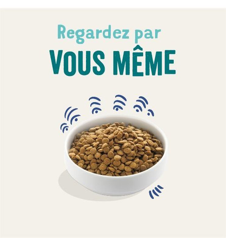 Edgard & Cooper - Croquettes au Saumon pour Chien - 2,5Kg Image numéro 2 Edgard & Cooper - Croquettes au Saumon pour Chien - 2,5Kg Image numéro 2