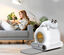 EZIclean - Maison de Toilette Connectée Litière Robot Cabot K8i Indicateur image numéro 4