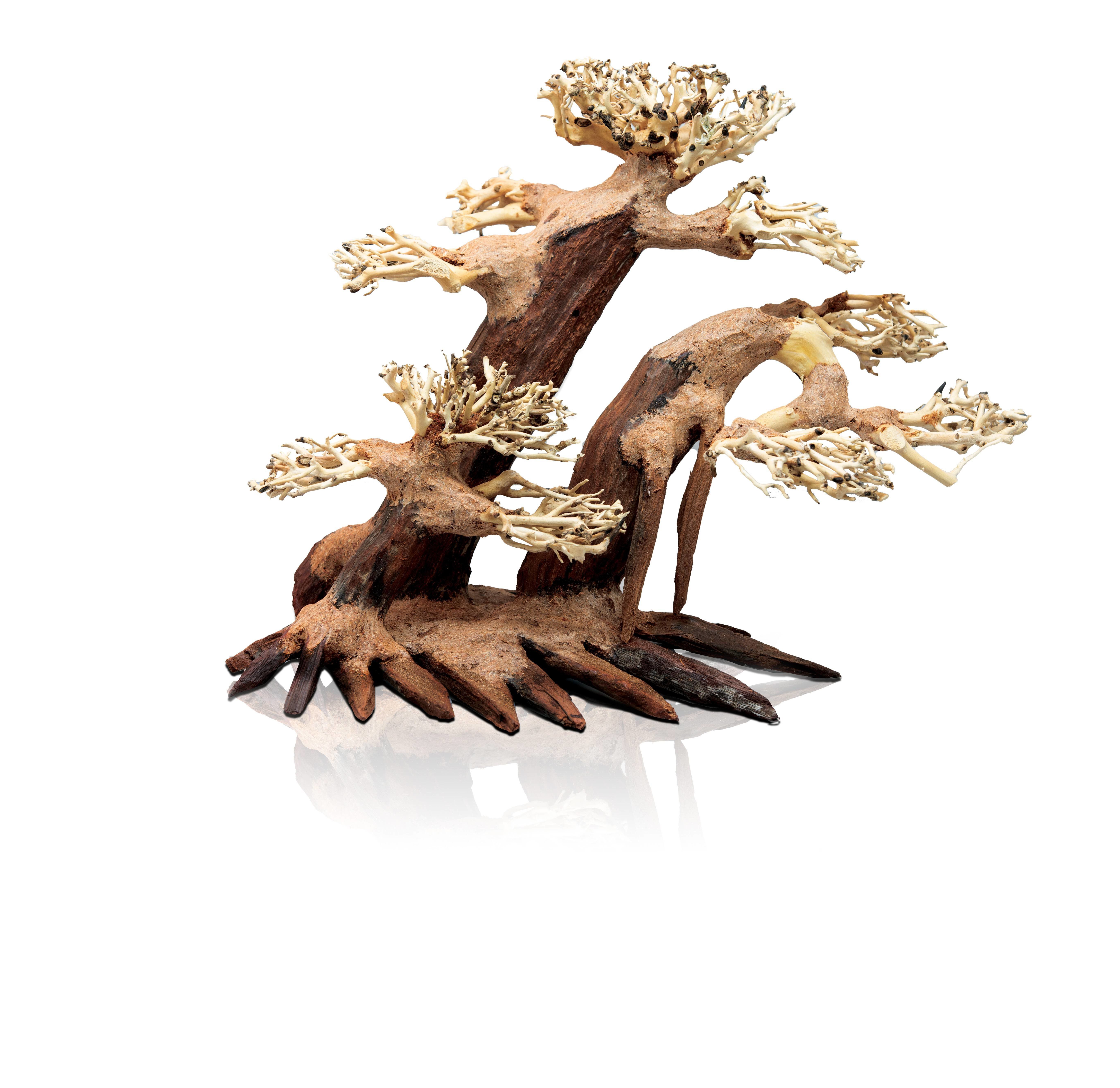 Aquavie - D&eacute;coration Bonsa&iuml; Nature pour Aquarium - L/XL Image num&eacute;ro 1