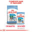 Royal Canin - Sachets Mini Puppy en Sauce pour Chiot - 12X85g Indicateur image numéro 6