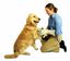 Brightspot Solution - Gant de Nettoyage Spotless Paw pour Chiens et Chats Indicateur image numéro 3