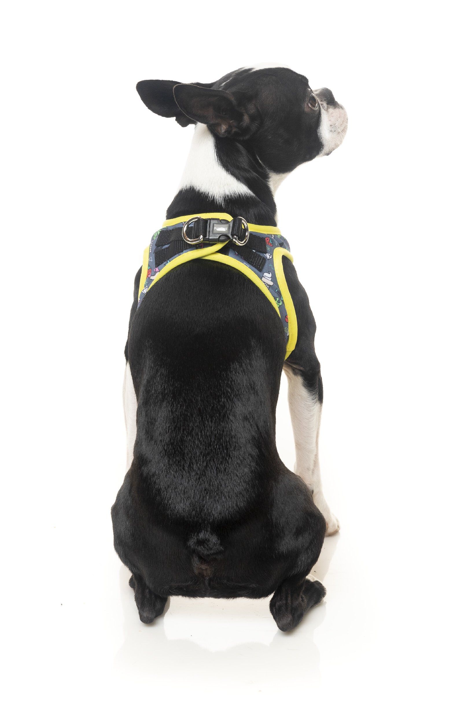 FuzzYard - Harnais Coachella pour Chien - S Image num&eacute;ro 3