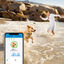 Tractive - Traceur GPS DOG 4 pour Chiens - Blanc Indicateur image numéro 5